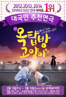 옥탑방 고양이 [대구]