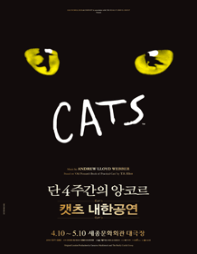 캣츠
