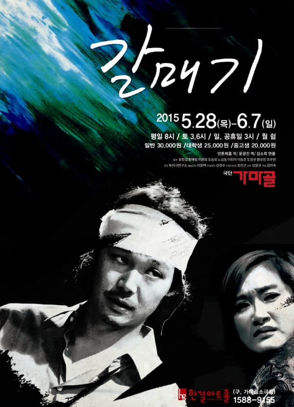 갈매기