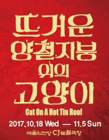뜨거운 양철지붕 위의 고양이
