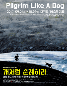 개처럼 순례하라