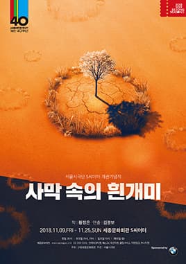 사막 속의 흰개미