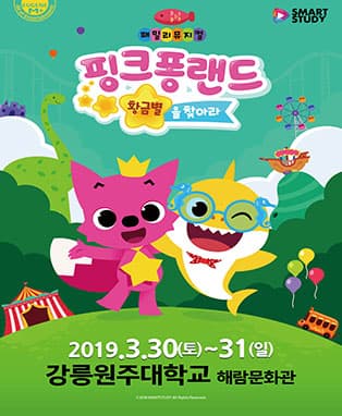 핑크퐁랜드: 황금별을 찾아라 [강릉]