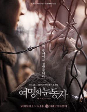여명의 눈동자