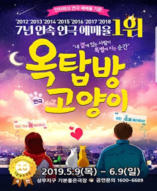 옥탑방 고양이 [광주]