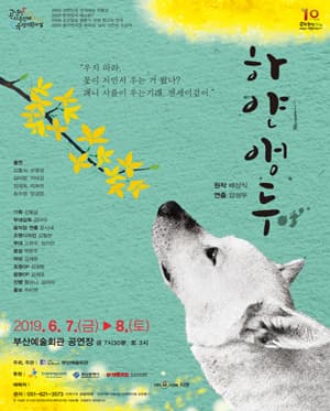 하얀앵두 [부산]