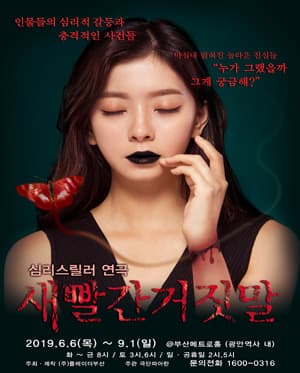 새빨간 거짓말 [부산]