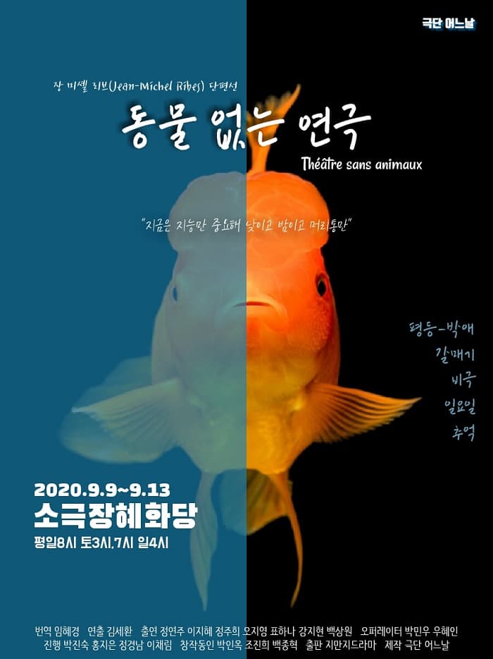 동물없는 연극