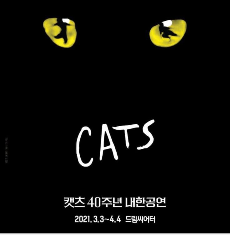 캣츠 40주년 내한공연 [부산]