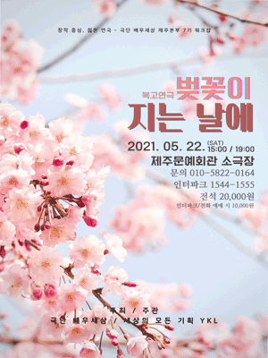 벚꽃이 지는 날에 [제주]
