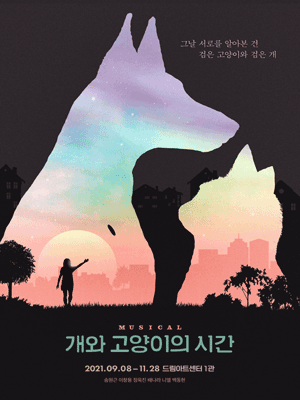 개와 고양이의 시간
