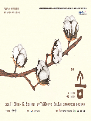 솜 [대구]