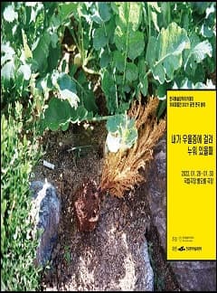 내가 우울증에 걸려 누워있을 때
