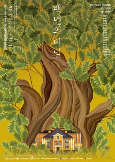 백년의 비밀