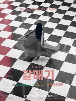 갈매기: 검은 옷을 입은 한 여자의 이야기