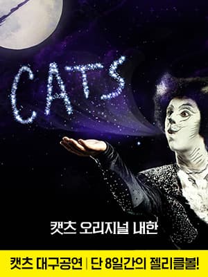 캣츠 오리지널 내한 [대구]