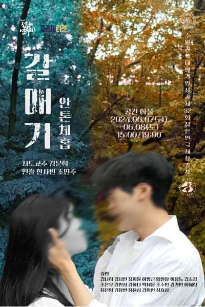 제32회 젊은연극제, 갈매기