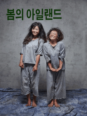 봄의 아일랜드