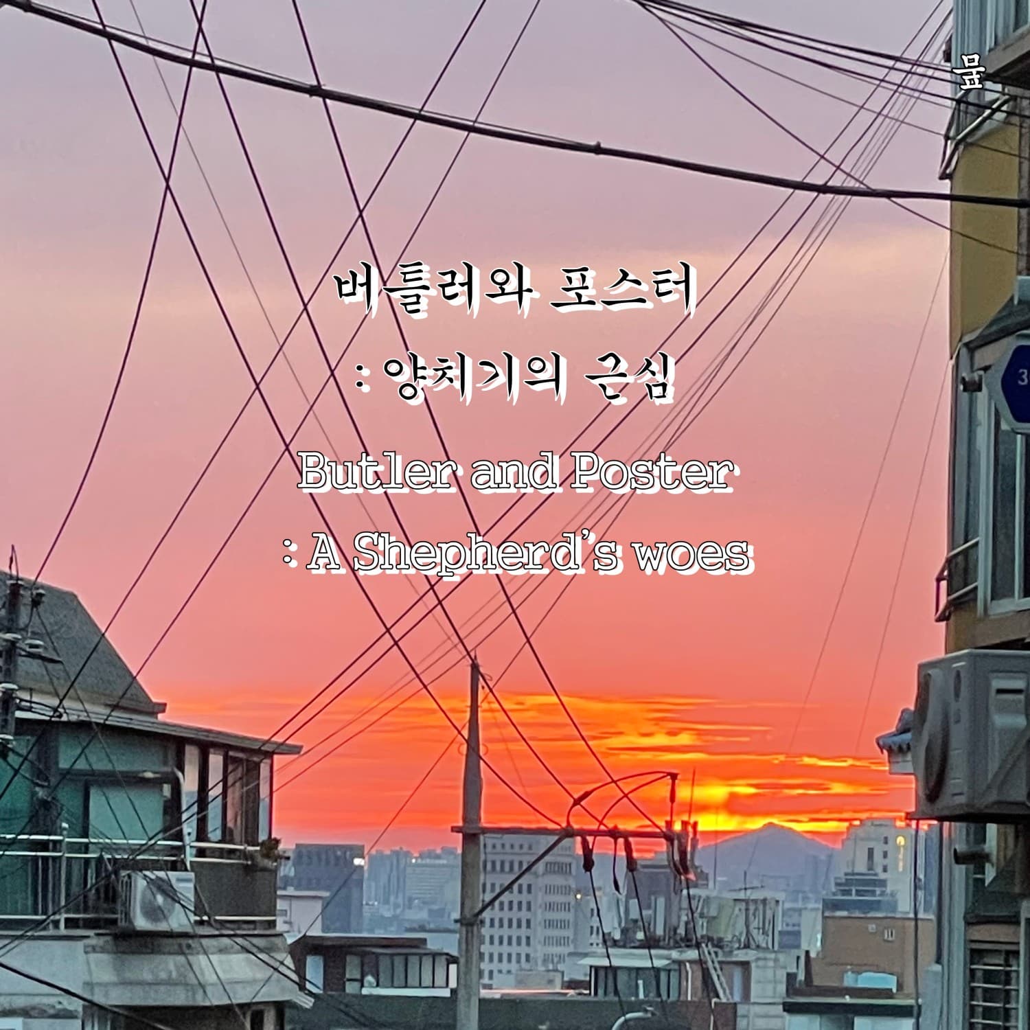 버틀러와 포스터: 양치기의 근심