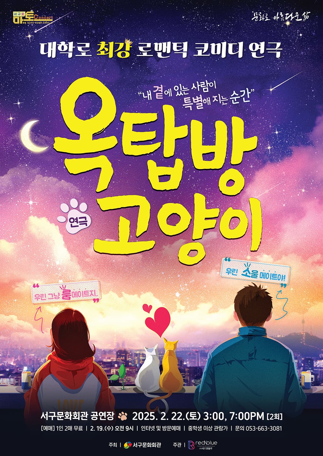 옥탑방 고양이 [대구]