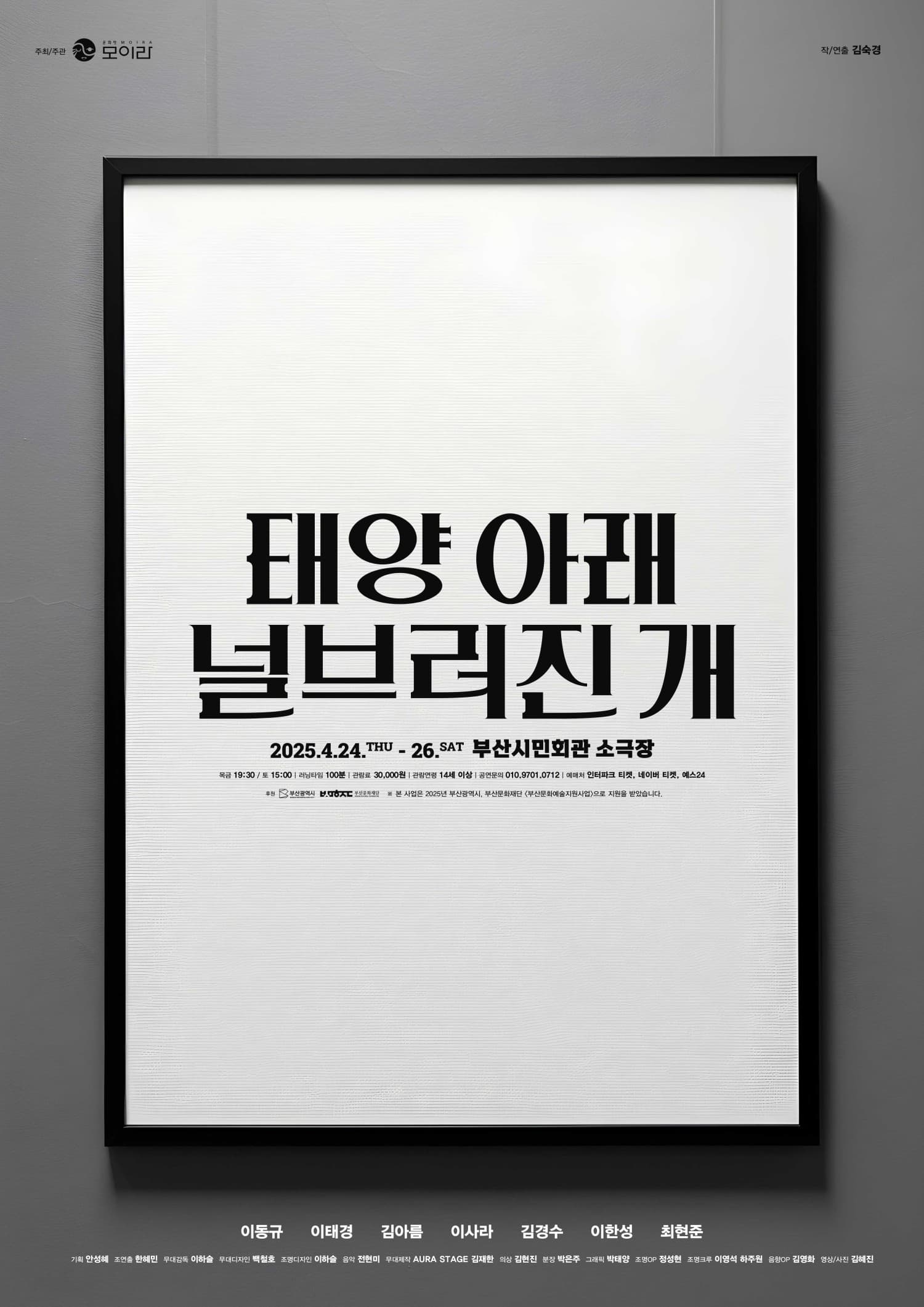 태양 아래 널브러진 개 [부산]