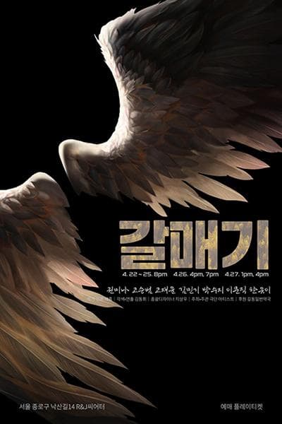 갈매기