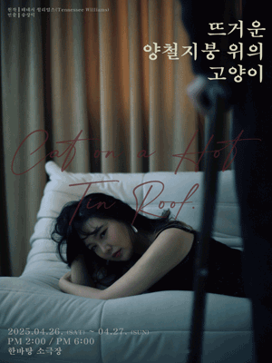 뜨거운 양철지붕 위의 고양이 [서울 송파]