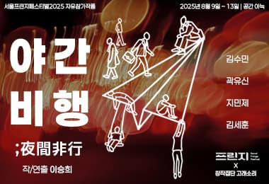 제28회 서울 프린지 페스티벌, 야간비행
